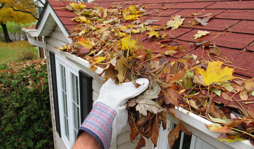 Fall Fix It Fall Fix-Ups: Essential Tools for Home Repair and Maintenance Before W