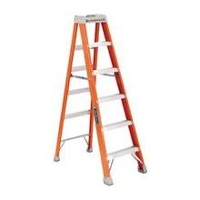 12' Step Ladder